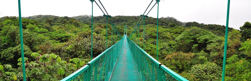 Puente de colgante sobre bosque de la nube