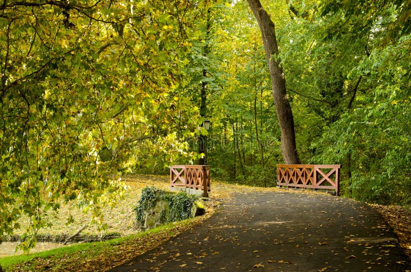 Puente de madera en el bosque del otoño