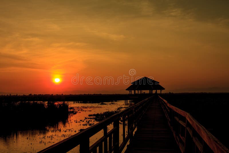 Puente de madera en el lago del loto el tiempo de la puesta del sol foto de archivo libre de regalías Puente de madera en el lago del loto el tiempo de la puesta del sol foto de archivo libre de regalías
