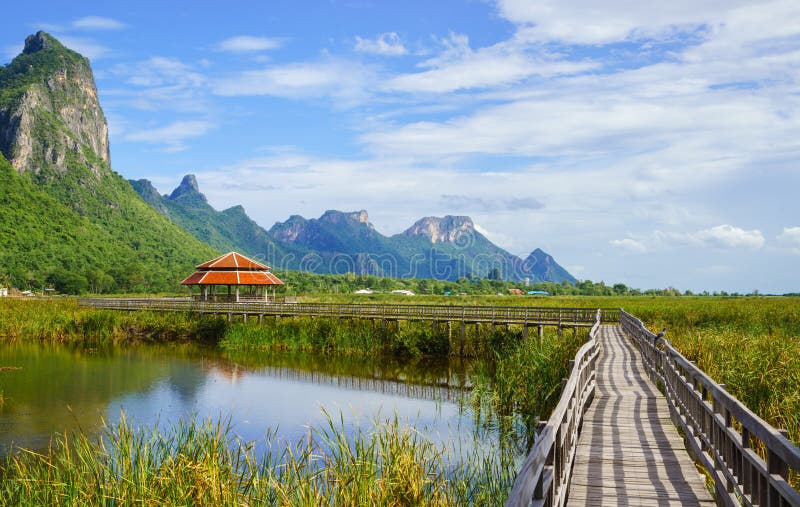 Puente de madera en el lago del loto en el parque nacional del yod del ROI de Sam del khao, t imágenes de archivo libres de regalías Puente de madera en el lago del loto en el parque nacional del yod del ROI de Sam del khao, t imágenes de archivo libres de regalías