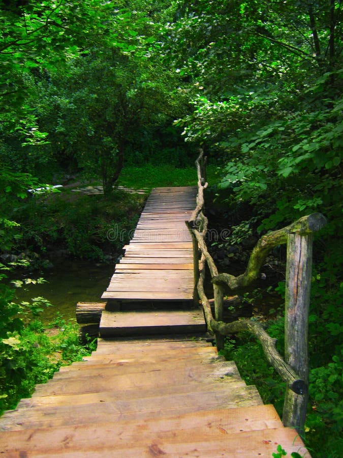 Puente de madera sobre una corriente en un bosque verde fotos de archivo libres de regalías Puente de madera sobre una corriente en un bosque verde fotos de archivo libres de regalías