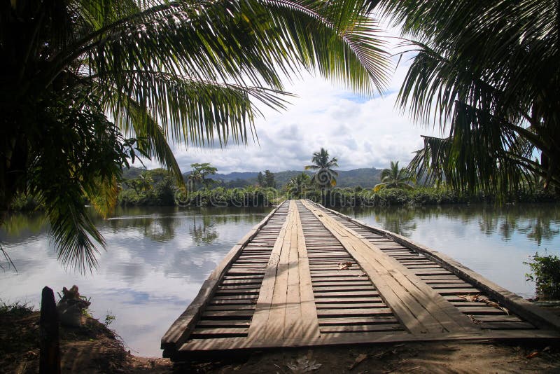 Puente en las zonas tropicales