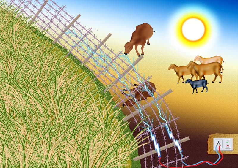 Puerta de la seguridad del campo de la comida imagen de archivo libre de regalías Puerta de la seguridad del campo de la comida imagen de archivo libre de regalías