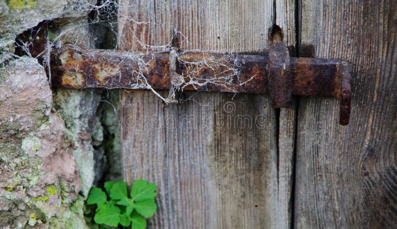 Puerta de madera vieja con el cierre oxidado y un trébol foto de archivo Puerta de madera vieja con el cierre oxidado y un trébol foto de archivo