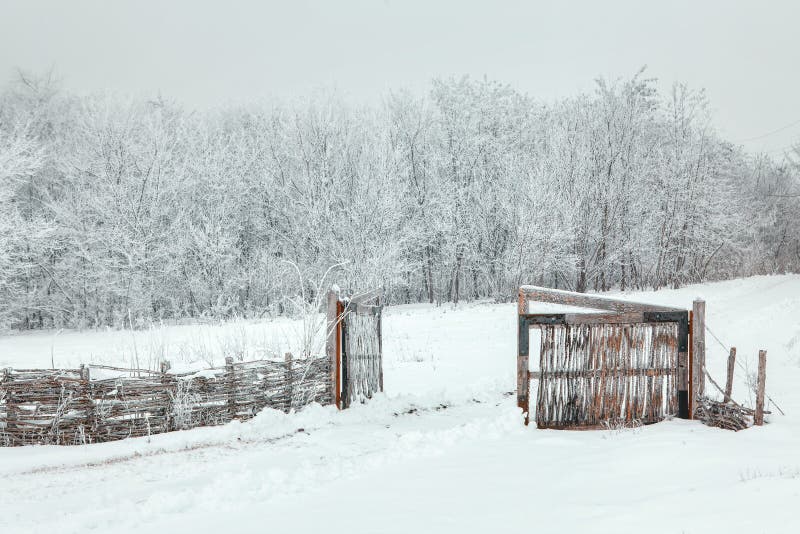 Puerta rústica en nieve fotos de archivo Puerta rústica en nieve fotos de archivo