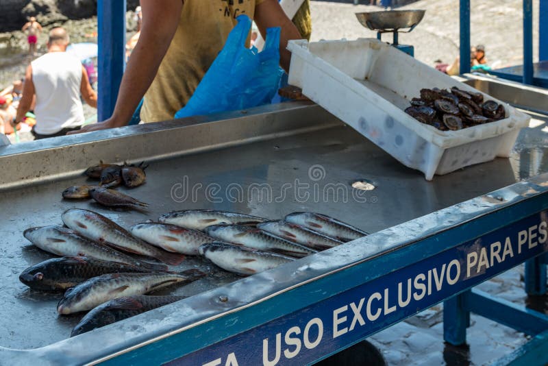 Puerto Cruz, Tenerife, Spanien - Juli 10, 2019: Fiskaren efter ett lyckat fiske, bak räknaren säljer hans lås av fisken och arkivfoto Puerto Cruz, Tenerife, Spanien - Juli 10, 2019: Fiskaren efter ett lyckat fiske, bak räknaren säljer hans lås av fisken och arkivfoto
