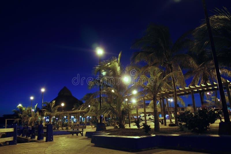 Puerto Morelos night palm trees Mayan riviera