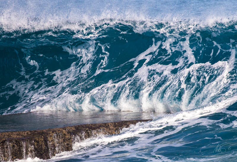 Puerto Rico Wave