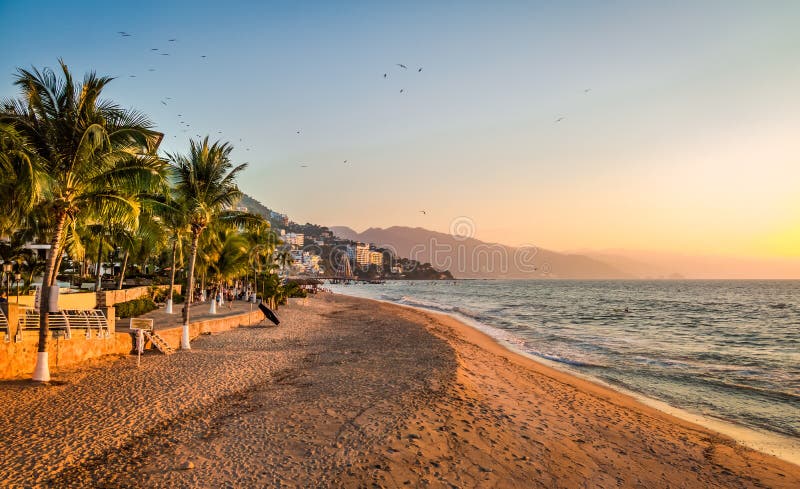 5 394 Puerto Vallarta Photos Free Royalty Free Stock Photos From Dreamstime 5 394 Puerto Vallarta Photos Free Royalty Free Stock Photos From Dreamstime