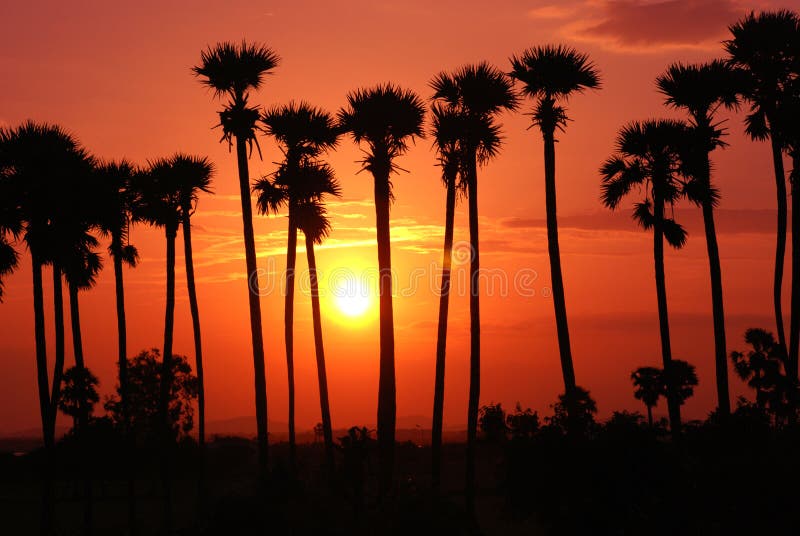 Puesta del sol Puesta del sol
