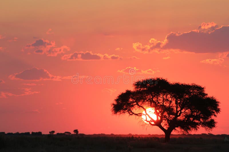 Puesta del sol africana - observación del planeta ardiente de lejos fotografía de archivo libre de regalías Puesta del sol africana - observación del planeta ardiente de lejos fotografía de archivo libre de regalías
