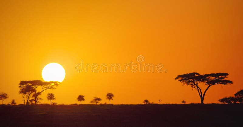 Puesta del sol africana panorámica hermosa en los llanos de la sabana del parque de Serengeti, Tanzania, África