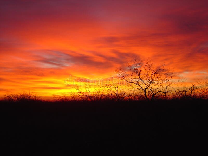 Puesta del sol del sur de Tejas foto de archivo