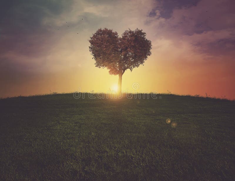 Puesta del sol del árbol del corazón fotos de archivo libres de regalías Puesta del sol del árbol del corazón fotos de archivo libres de regalías