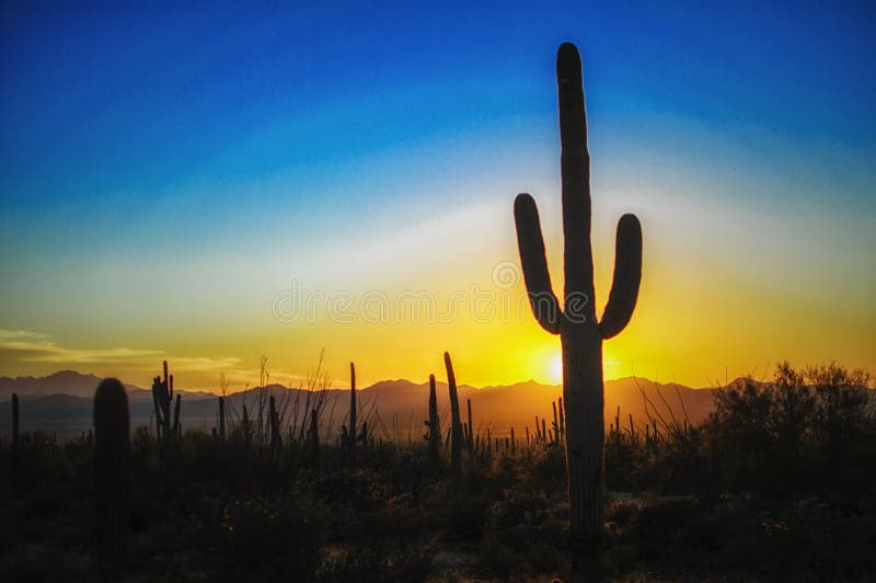 Puesta del sol en el parque nacional de Saguaro, Tucson AZ imagenes de archivo Puesta del sol en el parque nacional de Saguaro, Tucson AZ imagenes de archivo