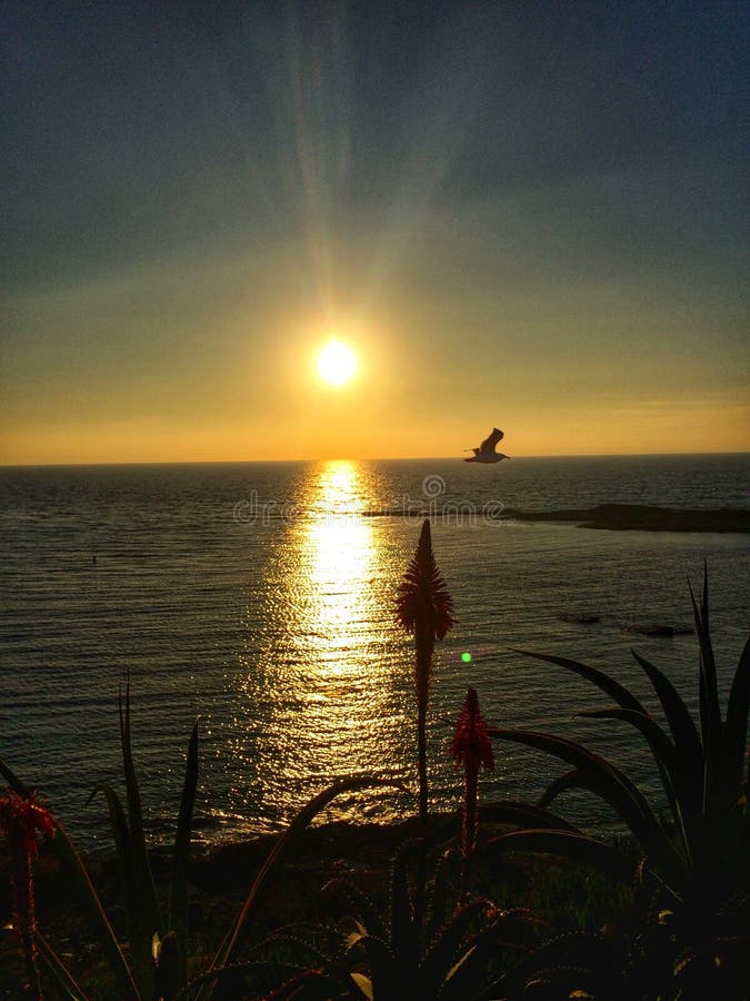 A view from the Montage Resort in Laguna Beach, CA. A view from the Montage Resort in Laguna Beach, CA