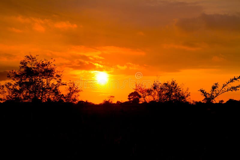 Puesta del sol en las zonas tropicales con los árboles imagen de archivo libre de regalías Puesta del sol en las zonas tropicales con los árboles imagen de archivo libre de regalías