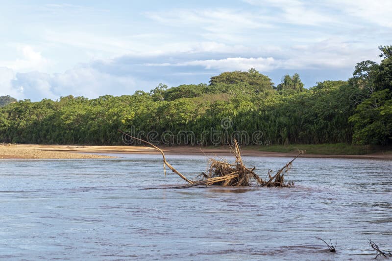 Puesta del sol en los acantilados del río de Beni, aventura en selvas del parque nacional de Madidi, lavabo del río Amazonas en B fotos de archivo libres de regalías Puesta del sol en los acantilados del río de Beni, aventura en selvas del parque nacional de Madidi, lavabo del río Amazonas en B fotos de archivo libres de regalías