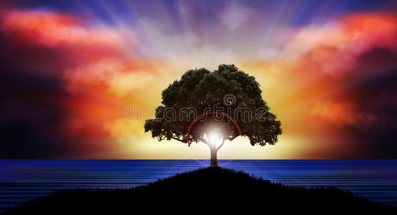 Puesta del sol hermosa sobre paisaje de la naturaleza de la silueta del árbol del agua ilustración del vector Puesta del sol hermosa sobre paisaje de la naturaleza de la silueta del árbol del agua ilustración del vector