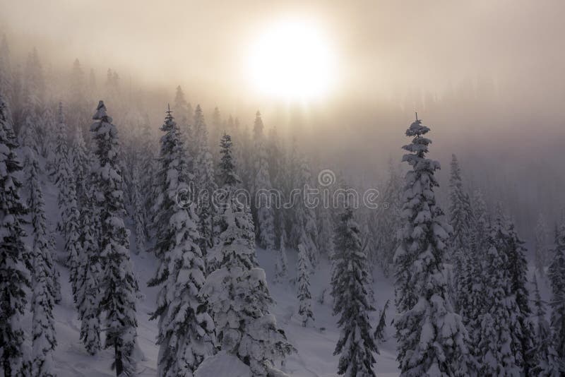 Puesta del sol nebulosa sobre capas de árboles nevados en bosque de la montaña fotos de archivo libres de regalías Puesta del sol nebulosa sobre capas de árboles nevados en bosque de la montaña fotos de archivo libres de regalías