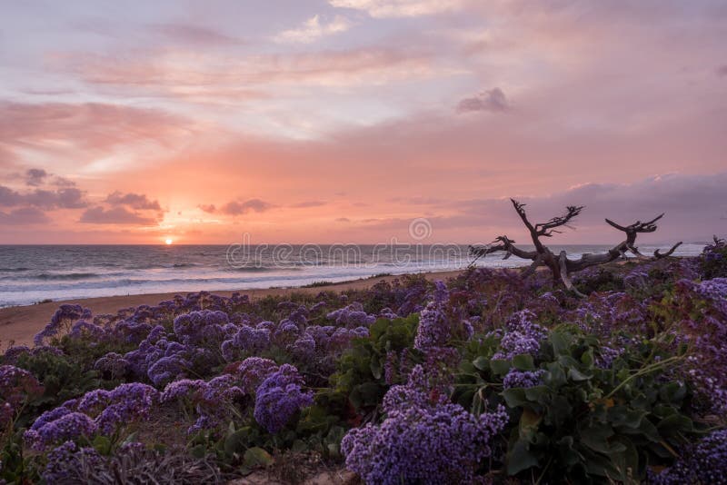 A cloudy beach sunset at Carlsbad, CA. A cloudy beach sunset at Carlsbad, CA