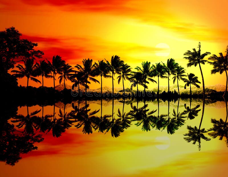 Puesta del sol o salida del sol de la playa con las palmeras tropicales imágenes de archivo libres de regalías Puesta del sol o salida del sol de la playa con las palmeras tropicales imágenes de archivo libres de regalías
