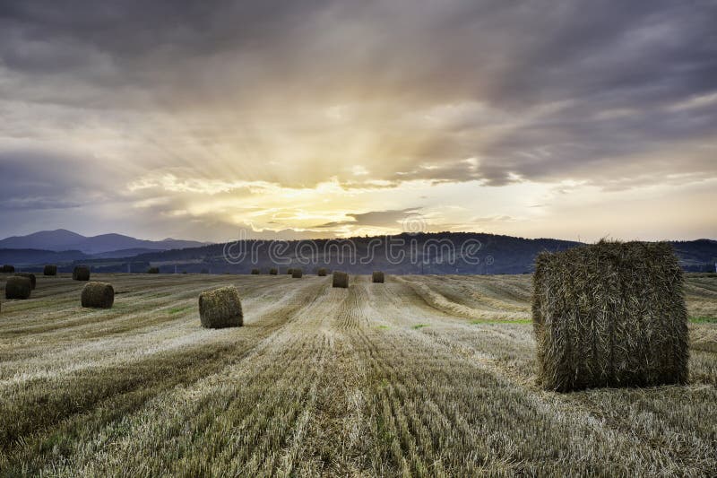 Puesta del sol sobre un campo con las balas de paja del trigo imagen de archivo libre de regalías Puesta del sol sobre un campo con las balas de paja del trigo imagen de archivo libre de regalías