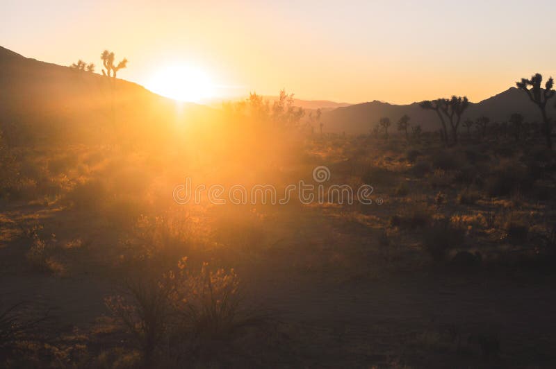 Puesta del sol épica hermosa en la naturaleza asombrosa del desierto de Joshua Tree Na foto de archivo Puesta del sol épica hermosa en la naturaleza asombrosa del desierto de Joshua Tree Na foto de archivo