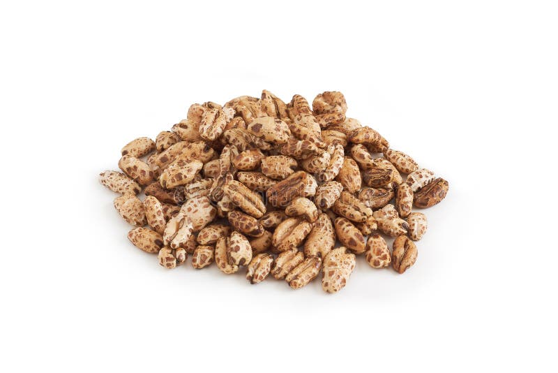 Puffed barley cereal stock image. Image of diet, milk 84338119