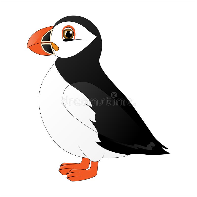 Puffin, Cute Cartoon Arctic Bird Stock Illustration - Illustration of fauna, white: 111796325 Puffin, Cute Cartoon Arctic Bird Stock Illustration - Illustration of fauna, white: 111796325