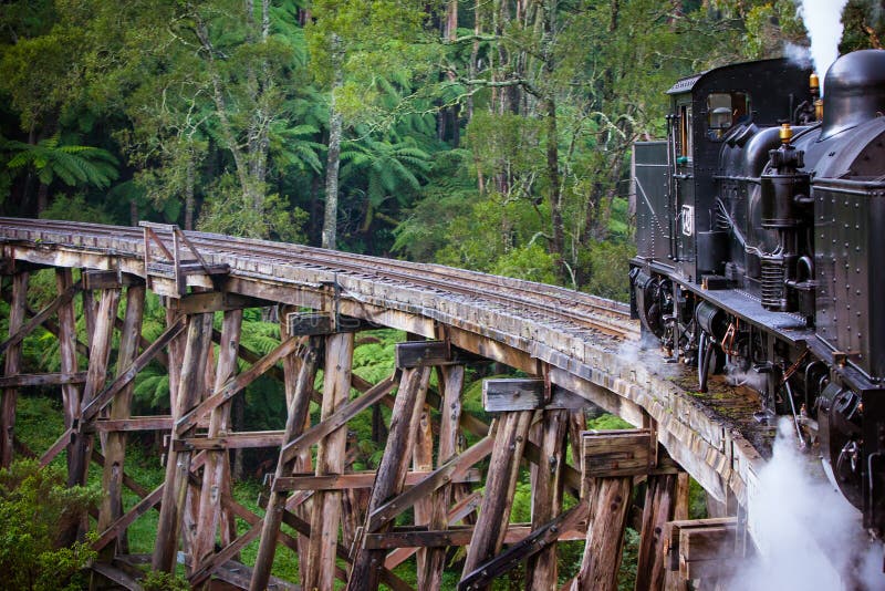 Puffing Billy Train