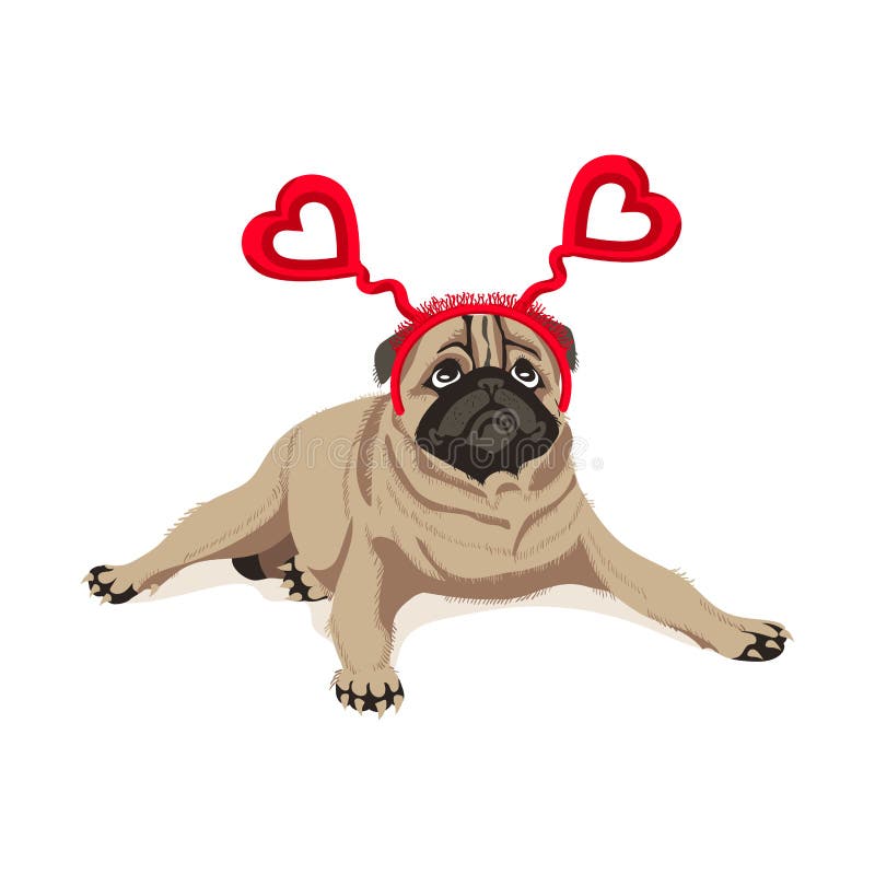 Pug headband clearance