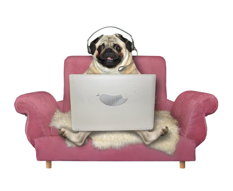 Dog in headphones on sofa stock photo. Image of phone - 168688118