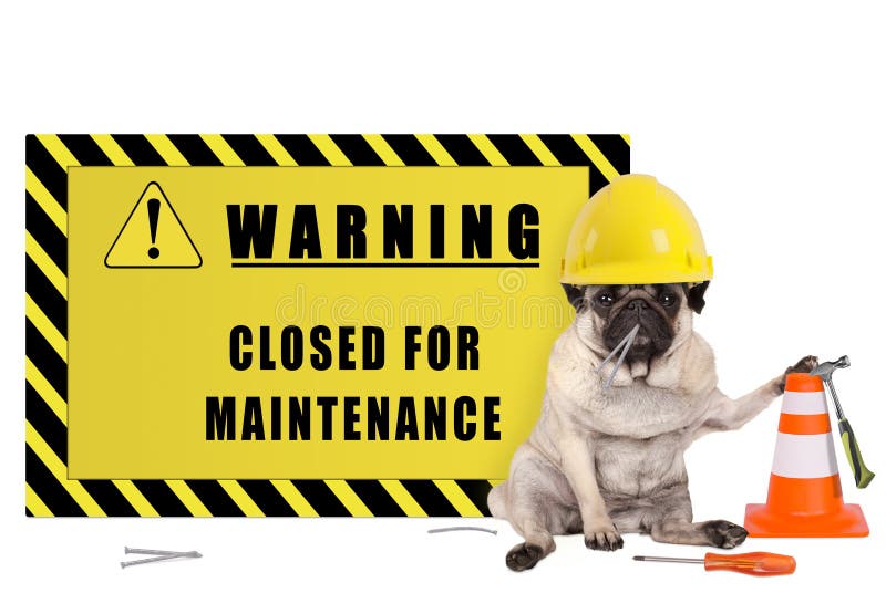 Pug dog with yellow constructor safety helmet and warning sign with text closed for maintenance
