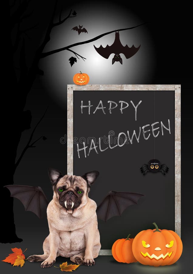 Pug hond omhoog gekleed als knuppel, met pompoenen en bordteken met tekst gelukkig Halloween, royalty-vrije illustratie Pug hond omhoog gekleed als knuppel, met pompoenen en bordteken met tekst gelukkig Halloween, royalty-vrije illustratie