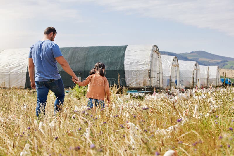 Pui de fermă și tată cu copii în câmp pentru producția de animale și păsări de curte sustenabile. Natura agriculturii și stock image