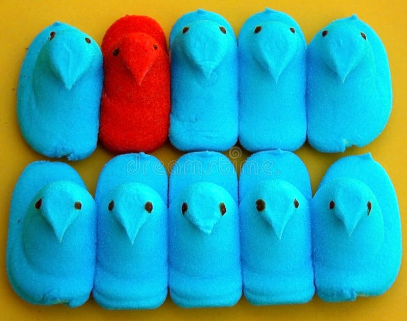 Pulcini della caramella di Pasqua della caramella gommosa e molle nella fila immagine stock libera da diritti Pulcini della caramella di Pasqua della caramella gommosa e molle nella fila immagine stock libera da diritti