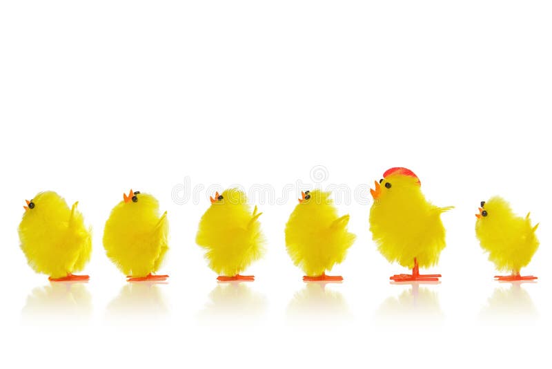 Pulcini di Pasqua in una linea immagini stock Pulcini di Pasqua in una linea immagini stock
