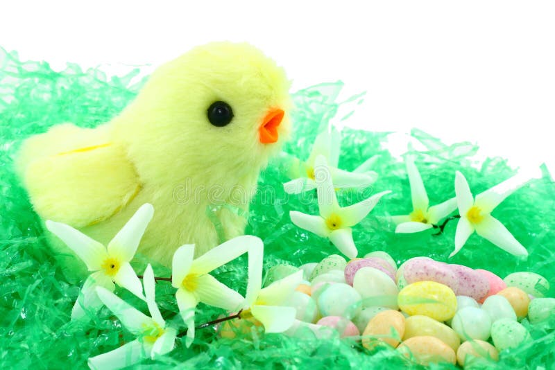 Pulcino di Pasqua del giocattolo con i fiori e la caramella fotografia stock Pulcino di Pasqua del giocattolo con i fiori e la caramella fotografia stock