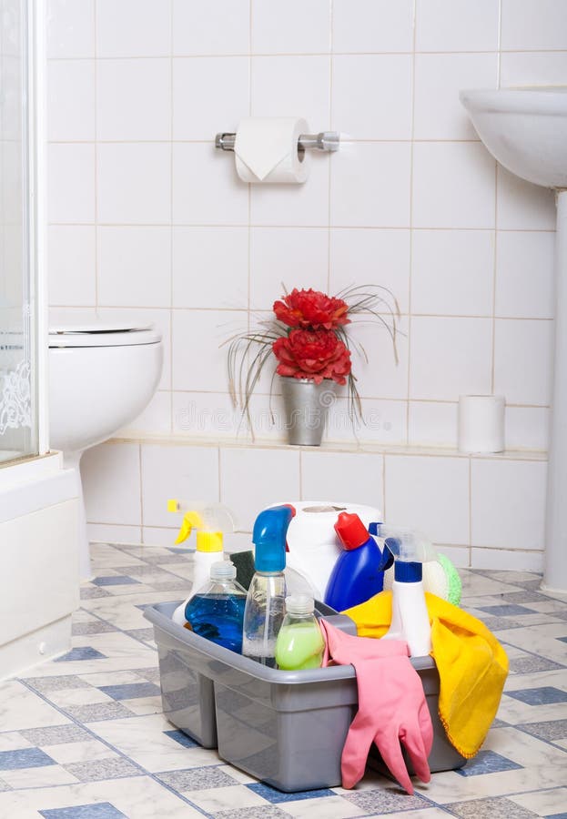 Pulizia del bagno immagine stock. immagine di insetti 28044919 Pulizia del bagno