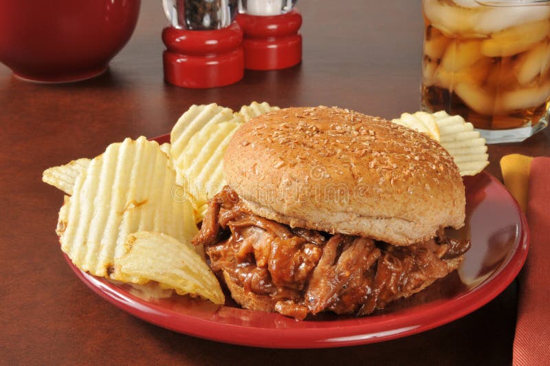 Pulled pork sandwich stock photo. Image of plate, seeds 42891102