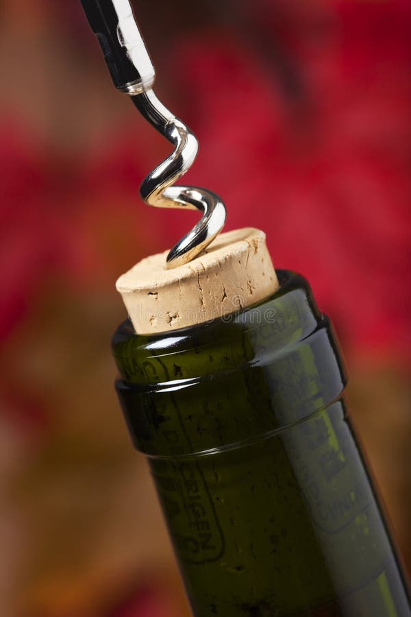 Red Wine Bottle, Glass and Grapes Stock Image Image of drink