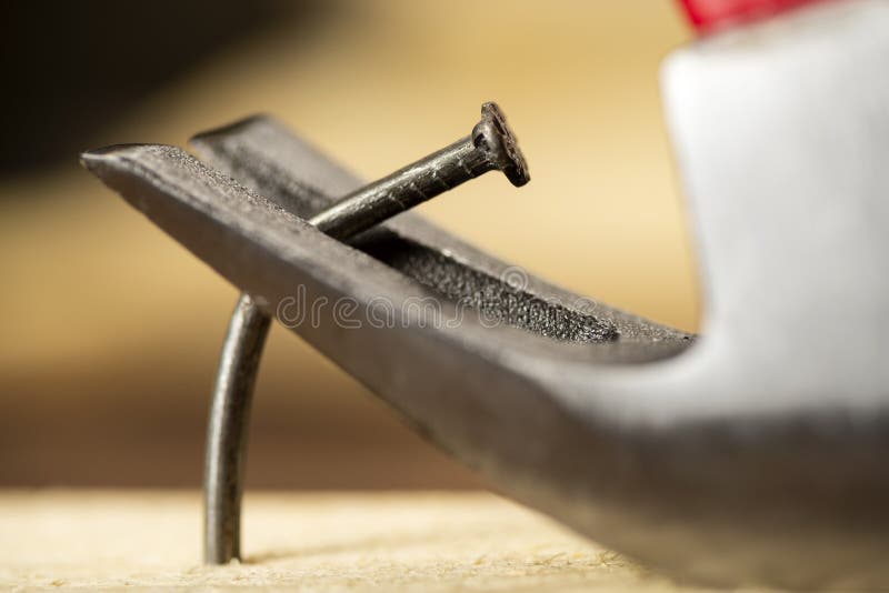 Pulling a Bent Nail from a Wooden Board with Hammer Claw Stock Photo