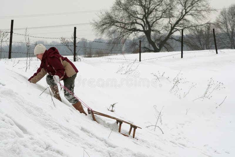 Download Pulling sleds stock photo. Image of enjoy, glove, activity - 457410