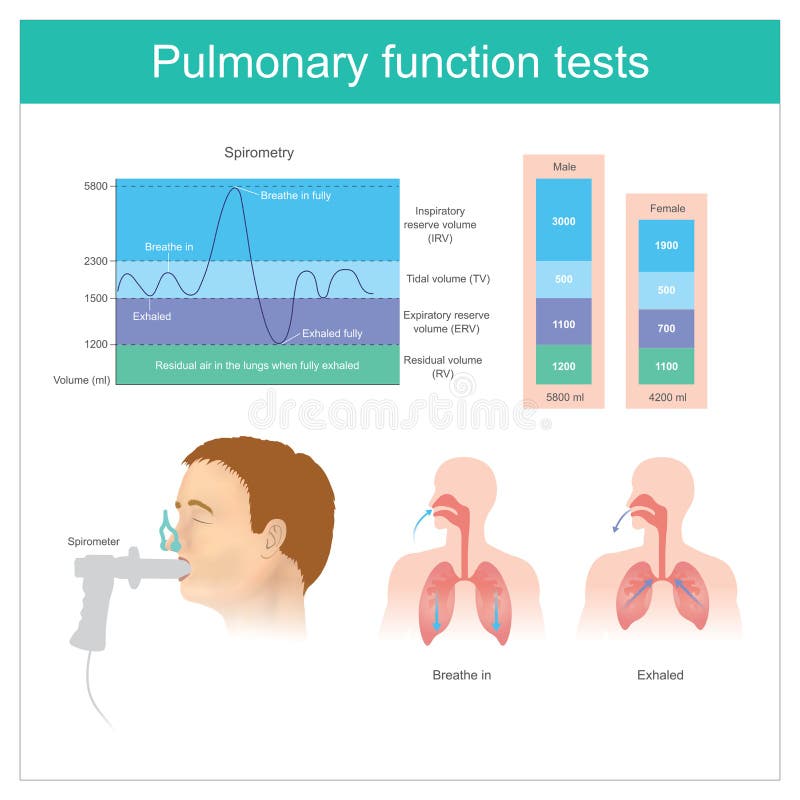 Pulmonary function tests. Testing for volume of air in the lungs royalty free illustration