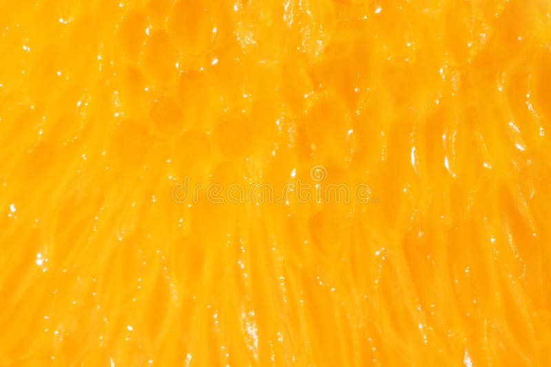 orange pulp orange pulp