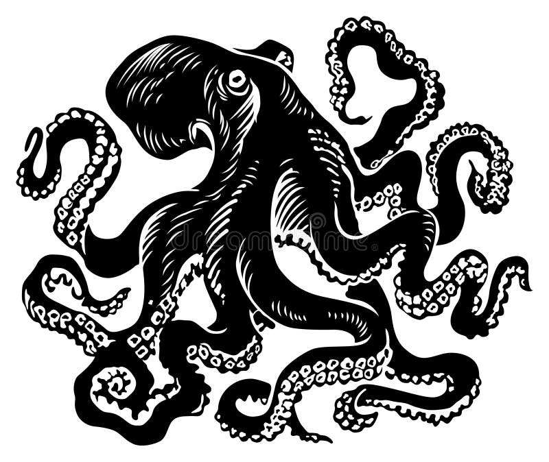 Pulpo libre illustration Pulpo libre illustration