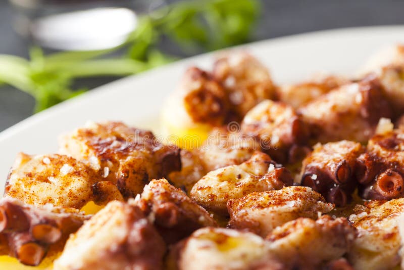 Pulpo a feira stock images