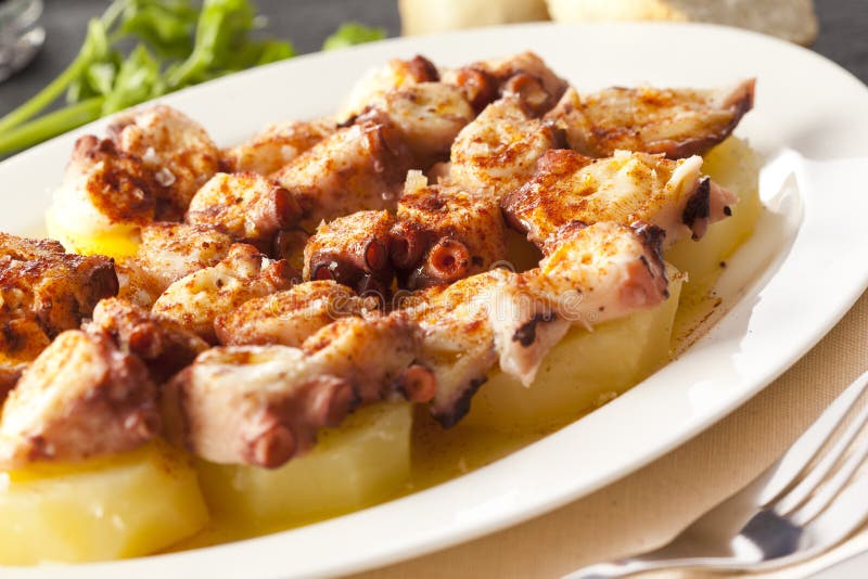 Pulpo a feira stock images