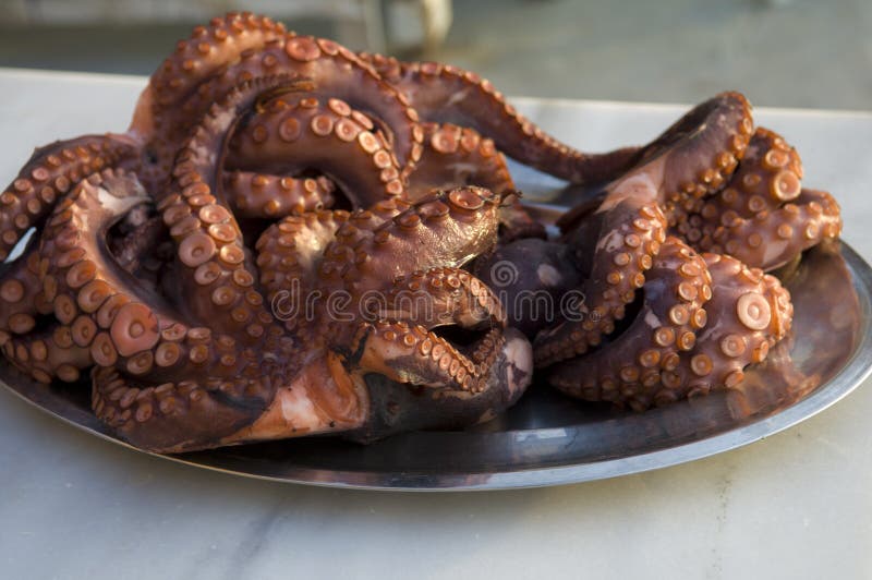 Pulpo fresco foto de archivo libre de regalías Pulpo fresco foto de archivo libre de regalías
